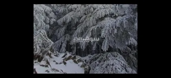 برامج سياحي ممتاز بمدينة طنجة المعرب للمزيد من المعلومات التواصل على الواتساب   (21231980892+)