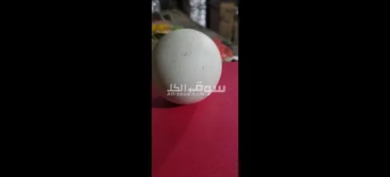 آآآآآآه - 2