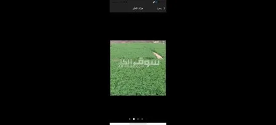 انشاء حديقتك - 13