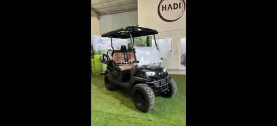 عربات كهربائية قولف كار Golf Car - 13