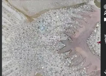 فستان هاند ميد كالجديد سعز ٣٠٠٠بدل ٤٠٠٠ ريال  معاه طرحه ٢متر وتاج ومروحه