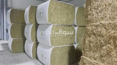 اعلاف درجة اولي للبيع مع التوصيل - 2
