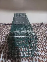 خداشه مصيدة قطط - 2