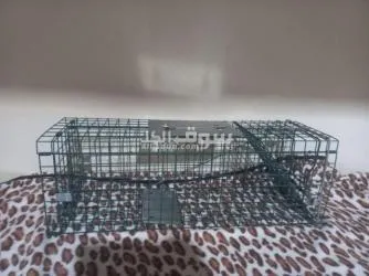 خداشه مصيدة قطط - 3