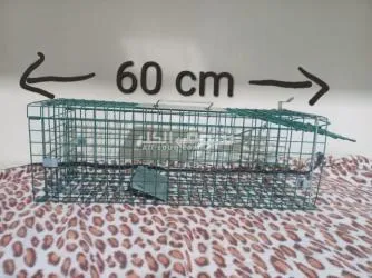 خداشه مصيدة قطط - 4