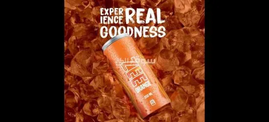 بيع بالتجزئة أو الجملة