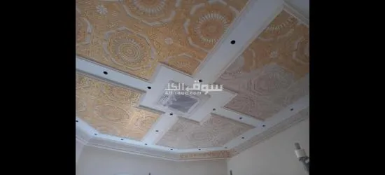 ديكور جبس و اصباغ - 4