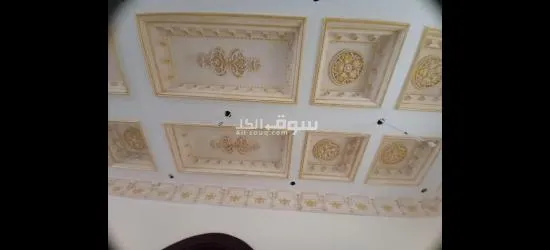 ديكور جبس و اصباغ - 7